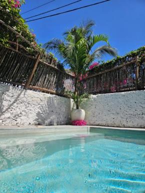 Mbaliparadise Guest Lodge PEMBA